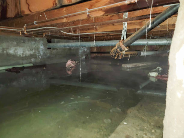 Best Commercial water damage restoration  in Center Point, NM