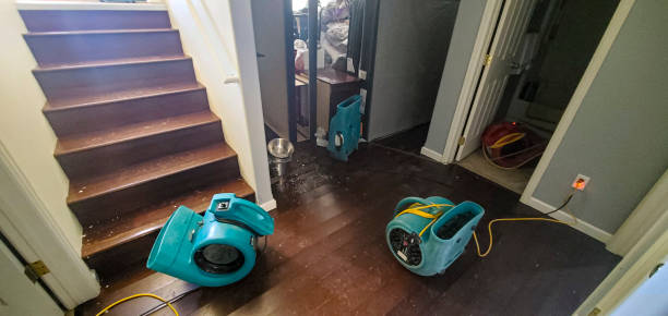 Best Water damage restoration services  in Center Point, NM