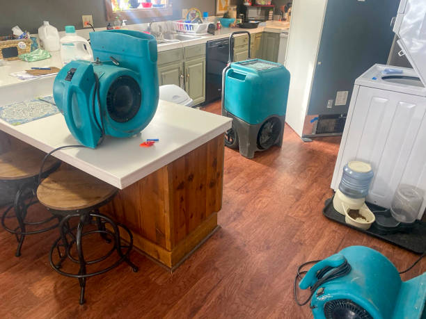 Best Residential water damage restoration  in Center Point, NM