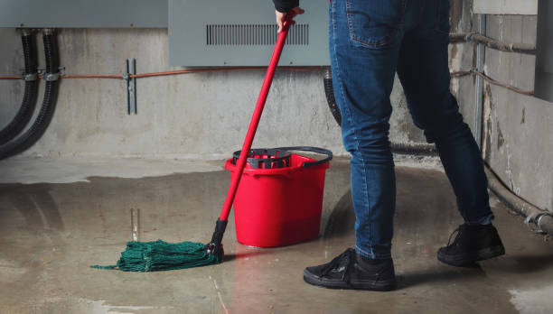 Water damage restoration experts in NM