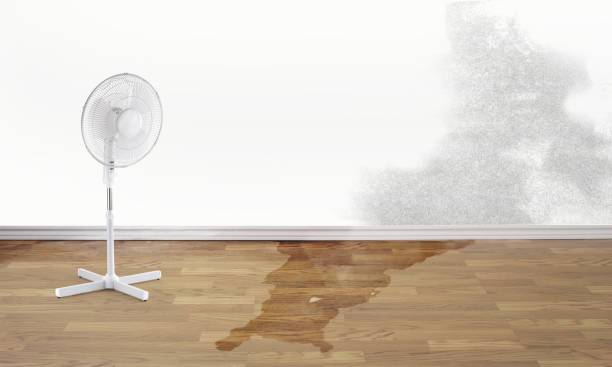 Best 24-hour water damage restoration  in Center Point, NM