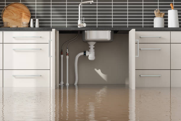 Best Sewage cleanup and water damage restoration  in Center Point, NM