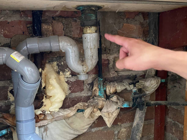 Best Professional water damage repair  in Center Point, NM